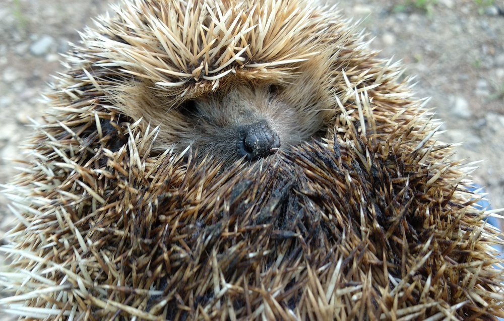 Photograph by Антон Бирюков