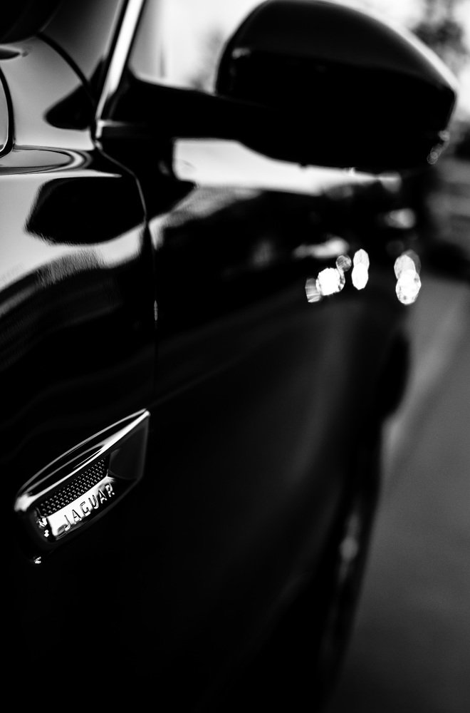 Photograph by Yana Shaforostova