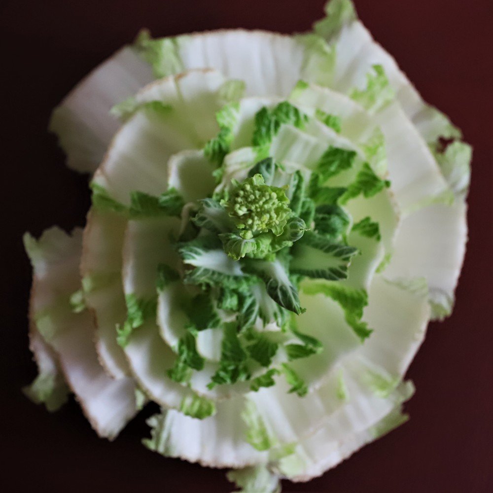 Photograph by Андрей Телибаев