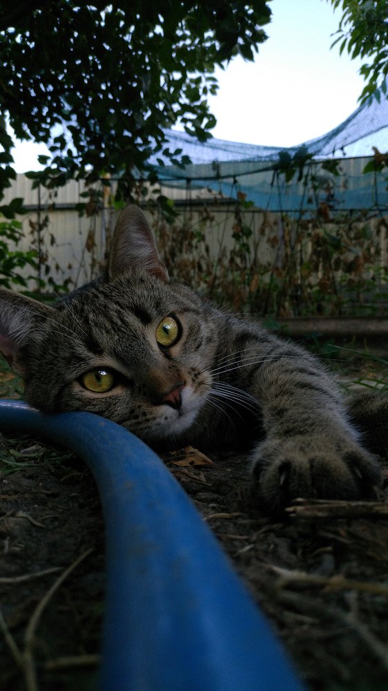 Photograph by Twizz Twizz