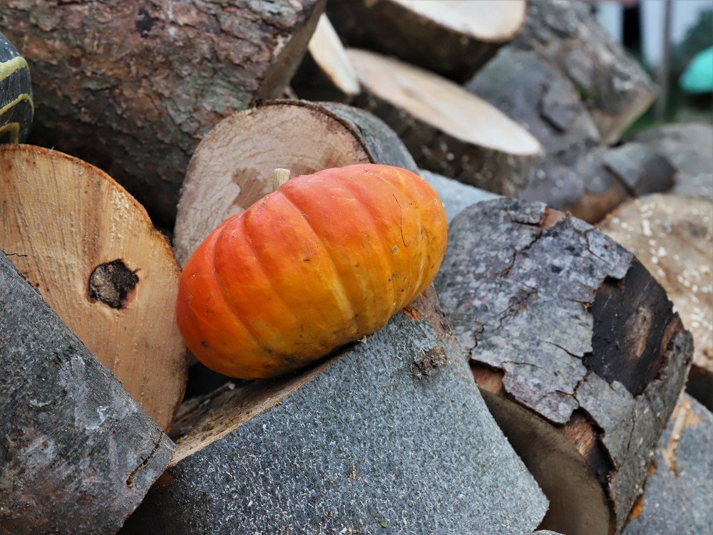 Photograph by Андрей Телибаев