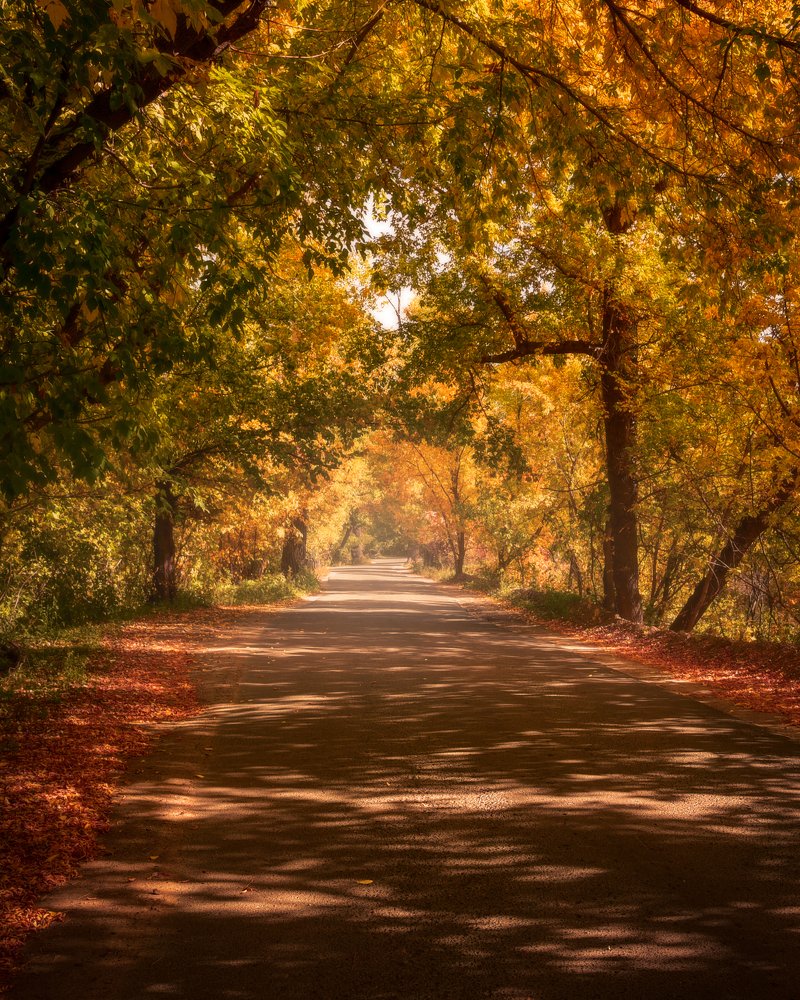 Photograph by Alexandr Kotlyar