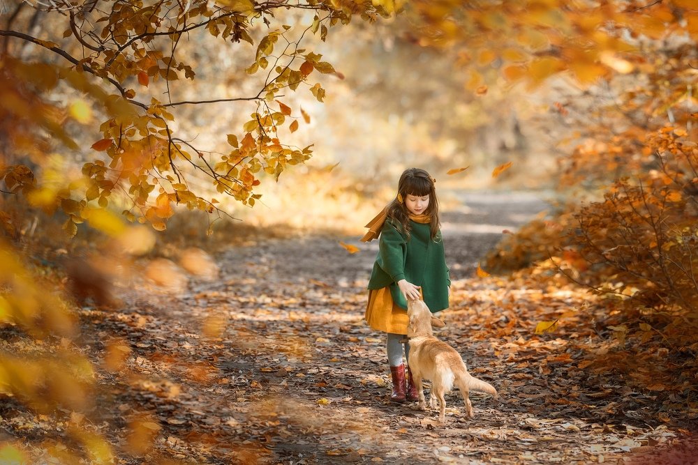 Photograph by Альфия Зотова