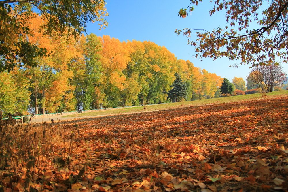 Photograph by Инга Крыжановская