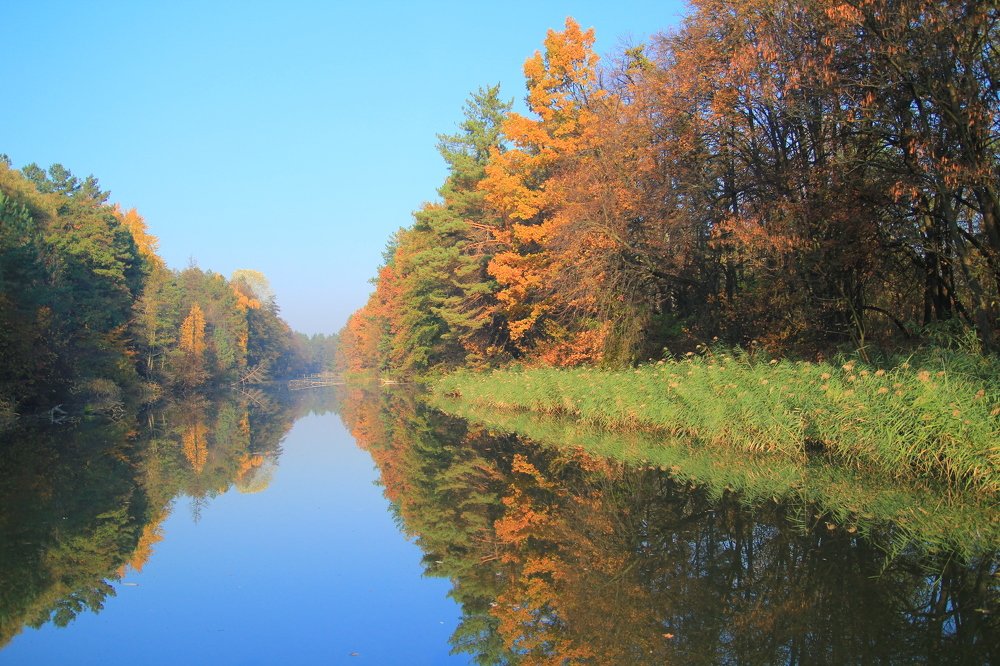 Photograph by Инга Крыжановская