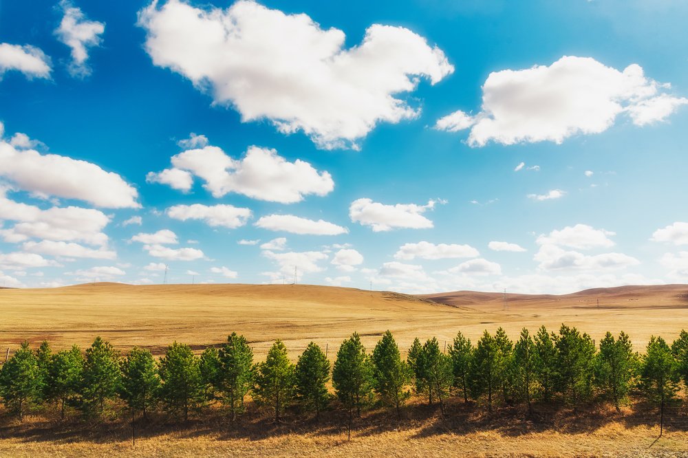 Photograph by Jinjing Lyu