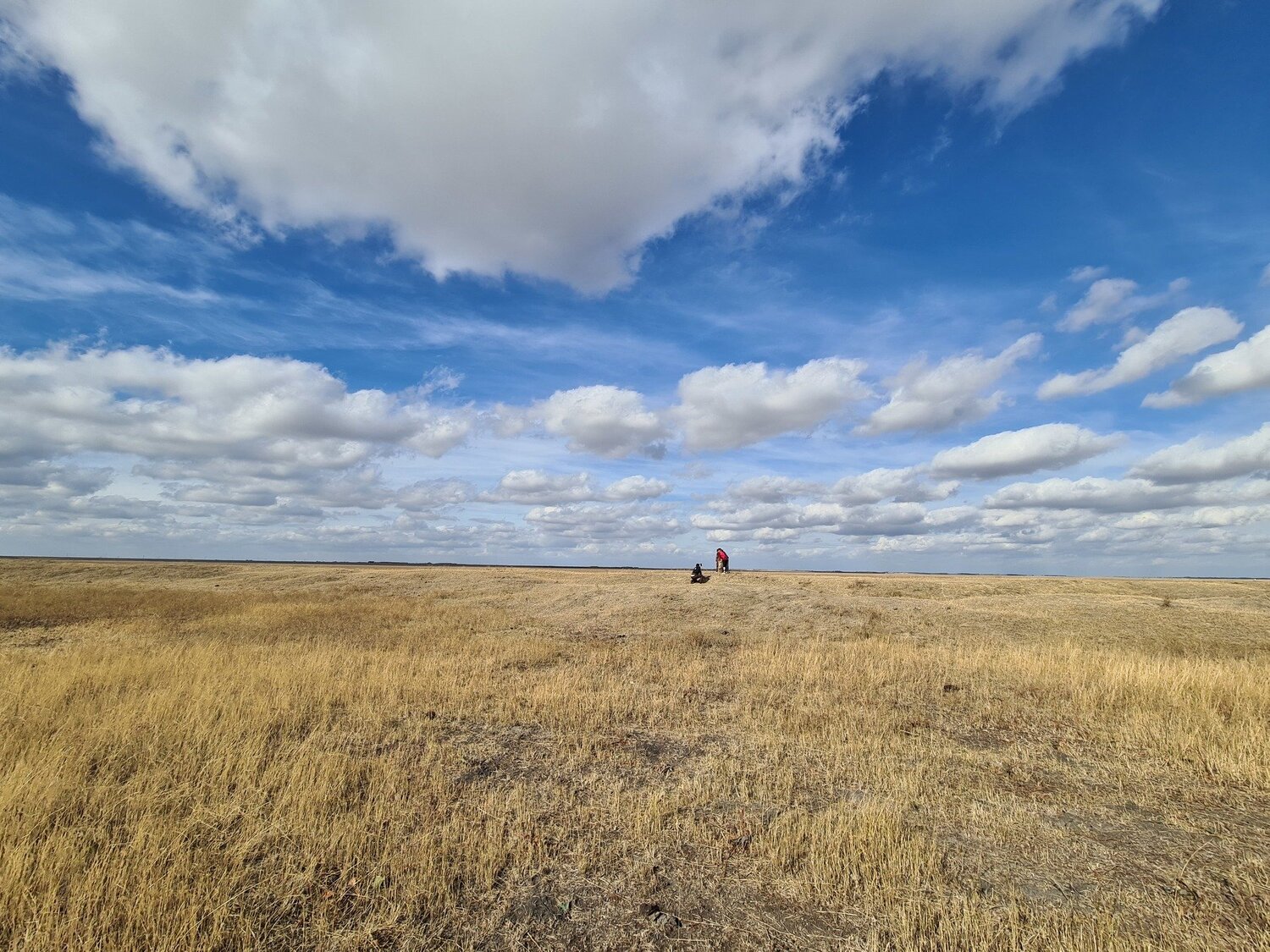 Photo #5252345