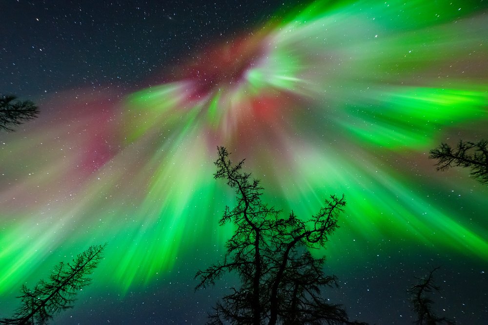 Photograph by Виктор Куликов