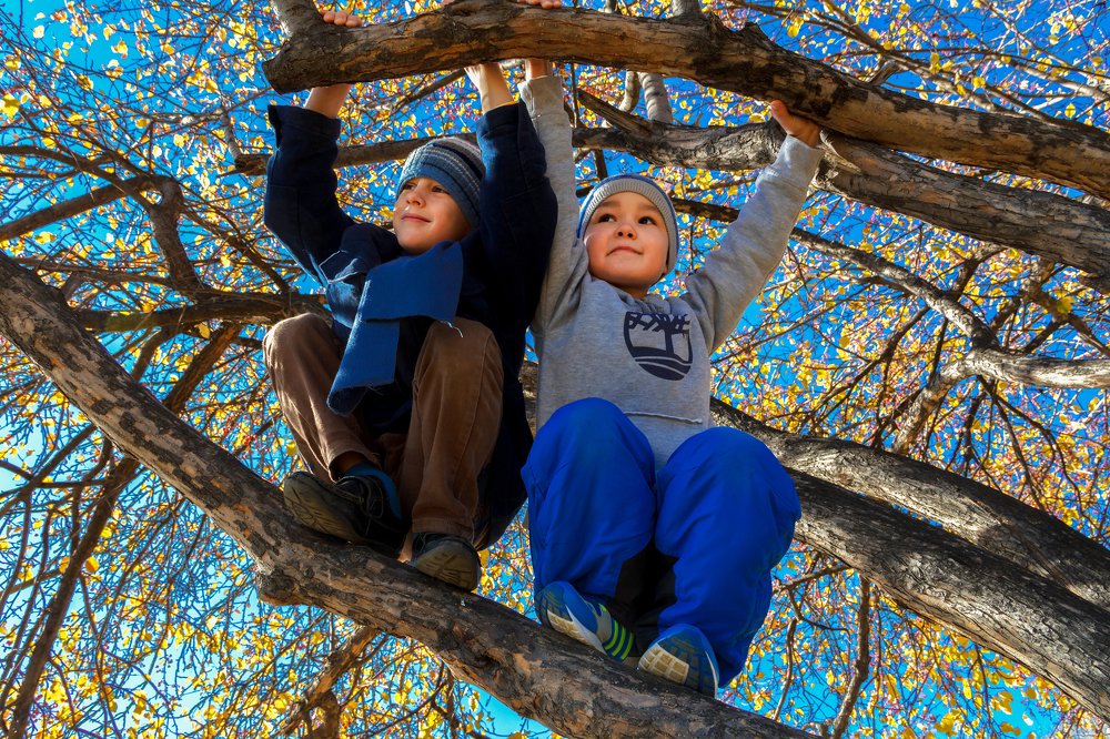 О чём мечтают дети?