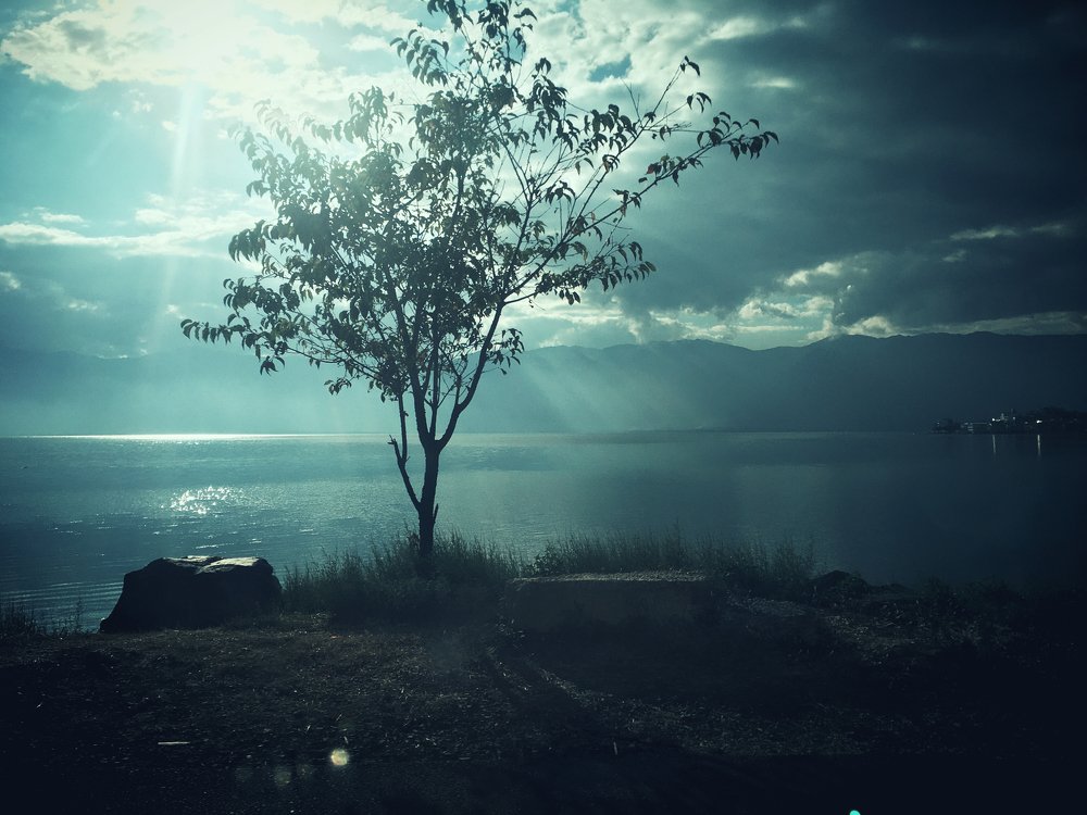 Photograph by Bob Yuldashev