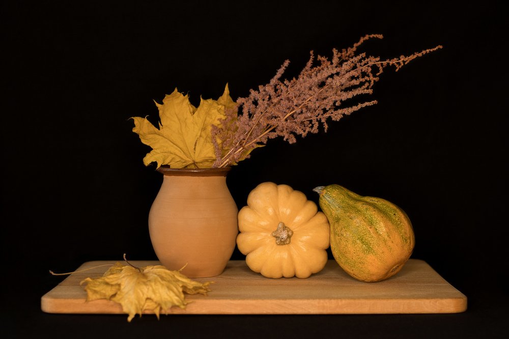 Фотография автора Елена Ельшина