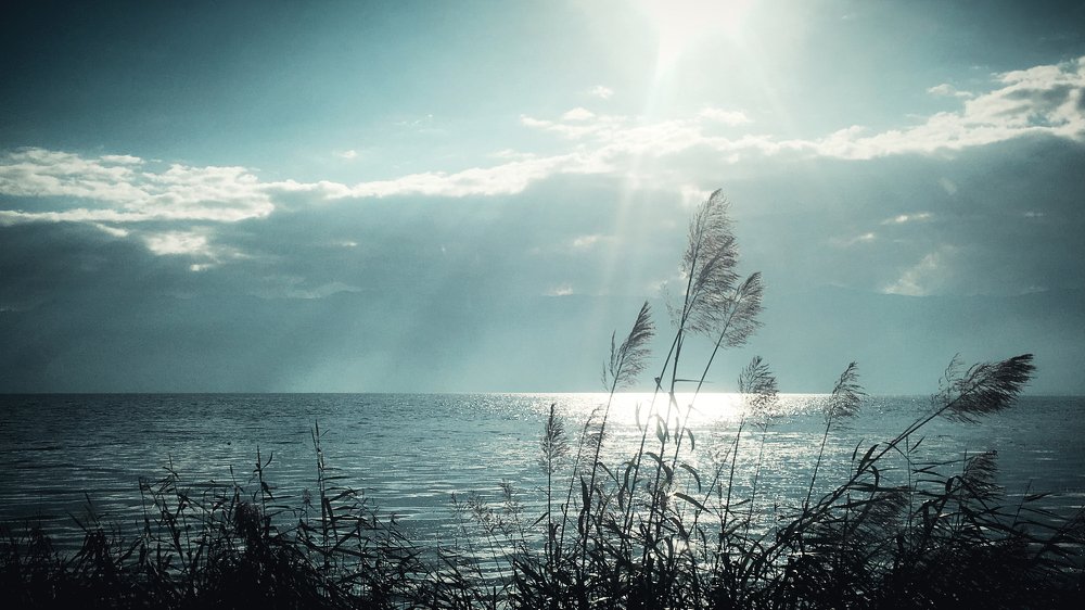 Photograph by Bob Yuldashev