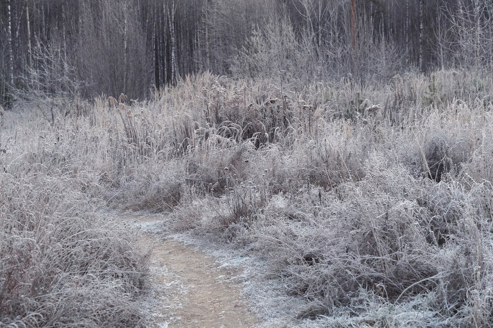 Photograph by косяк