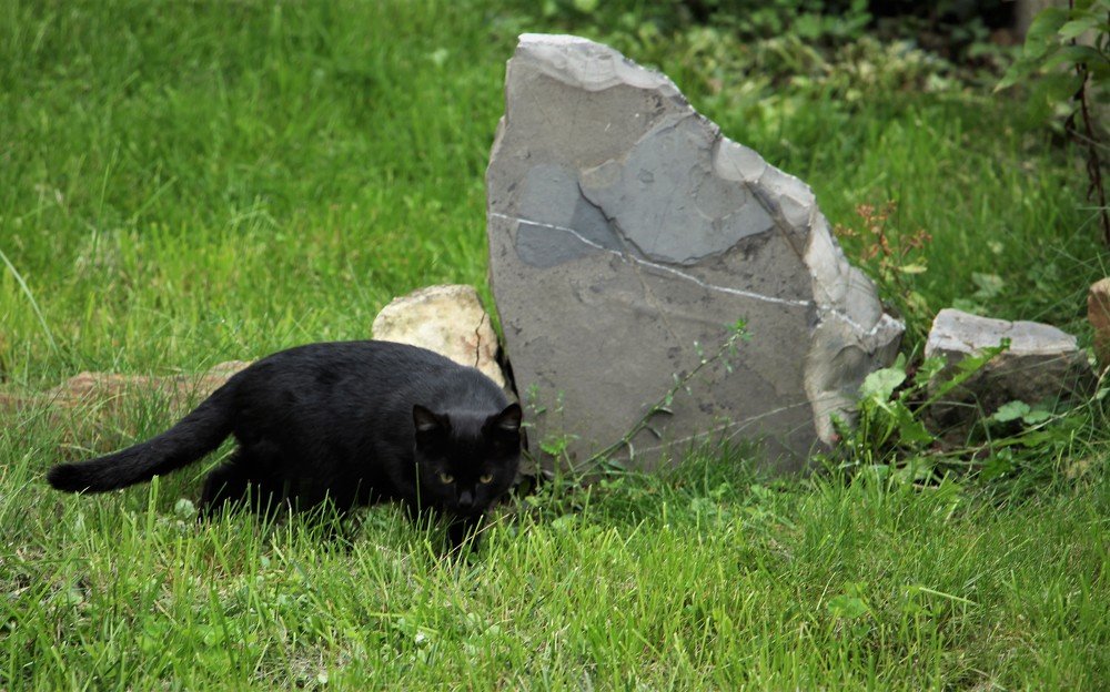 Photograph by Людмила Бутова