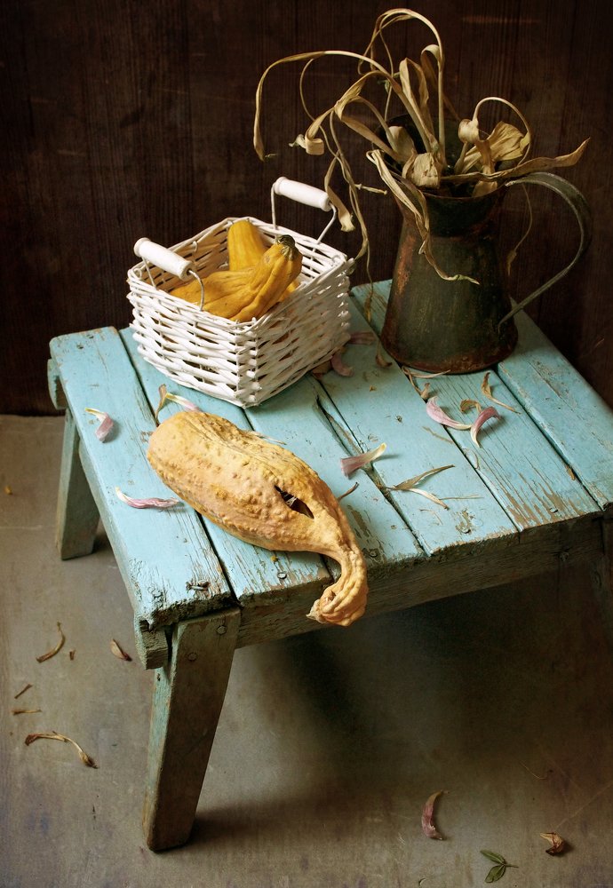 Фотография автора Svetlana Inyusheva