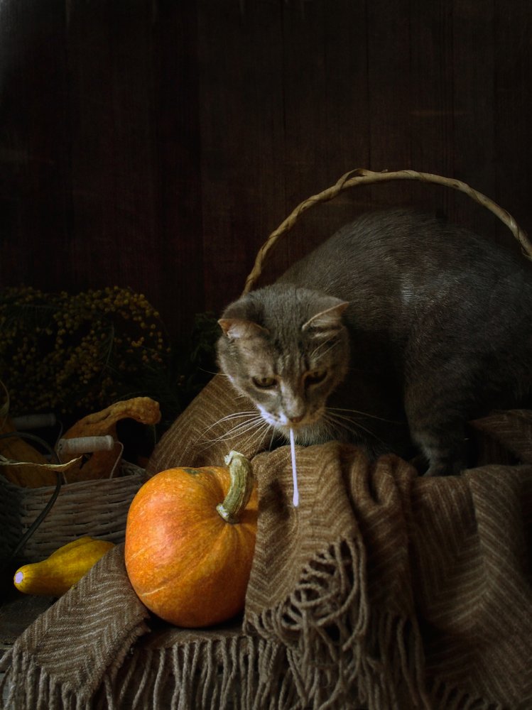 Фотография автора Svetlana Inyusheva