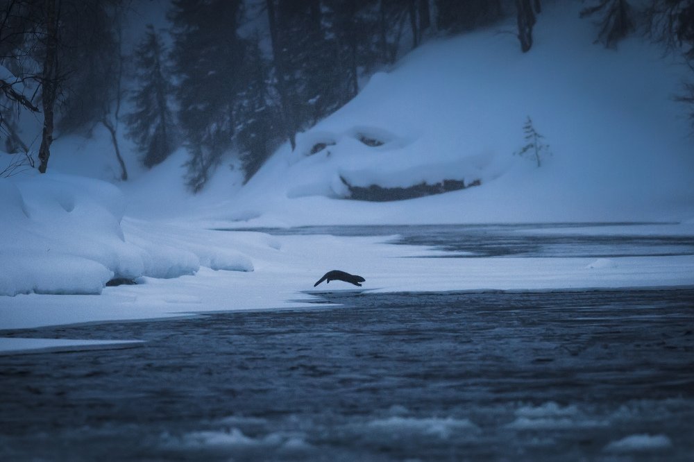 Photograph by Vladimir Koss