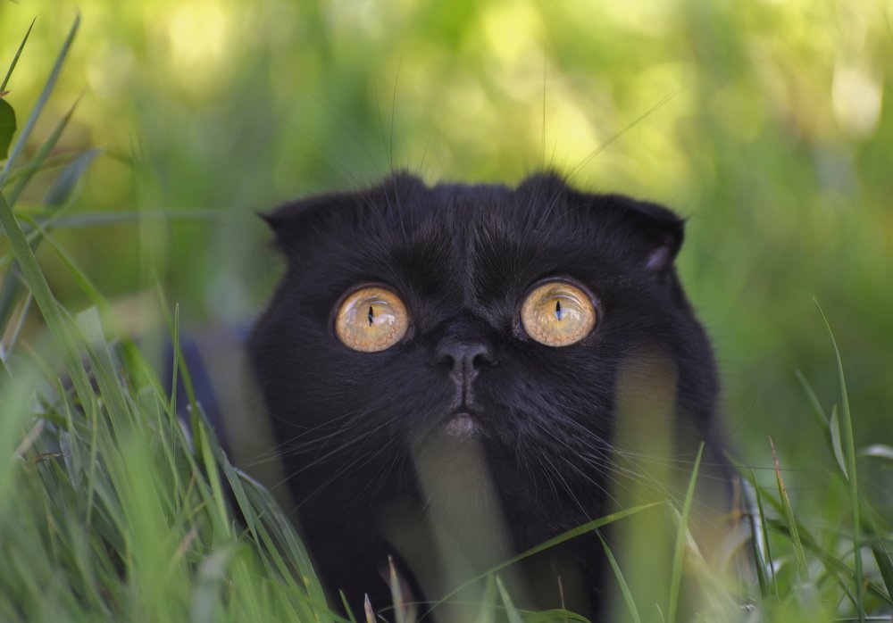 Photograph by Алексей Мистрюков