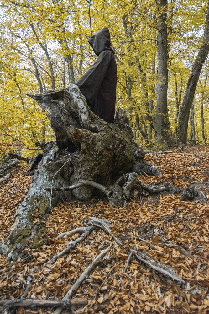 Photograph by Кассандра Мареева