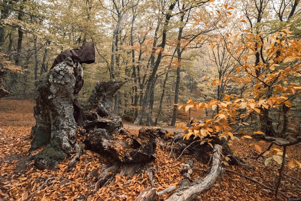 Photograph by Кассандра Мареева