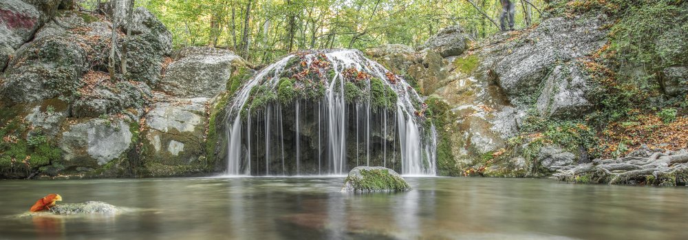 Photograph by Кассандра Мареева