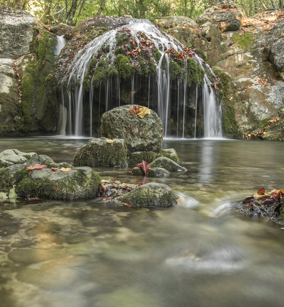 Photograph by Кассандра Мареева