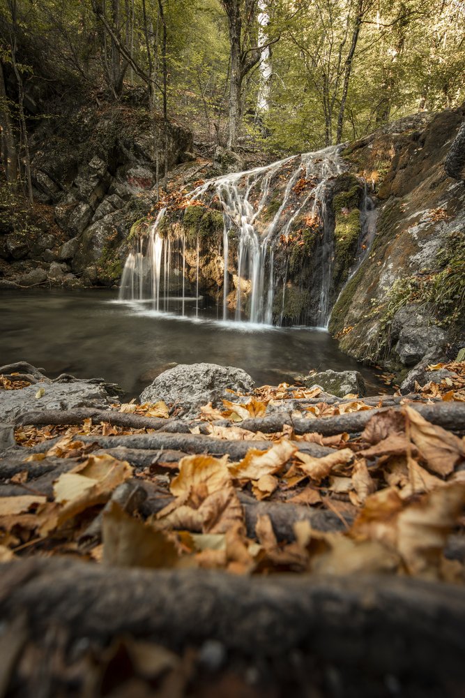 Photograph by Кассандра Мареева