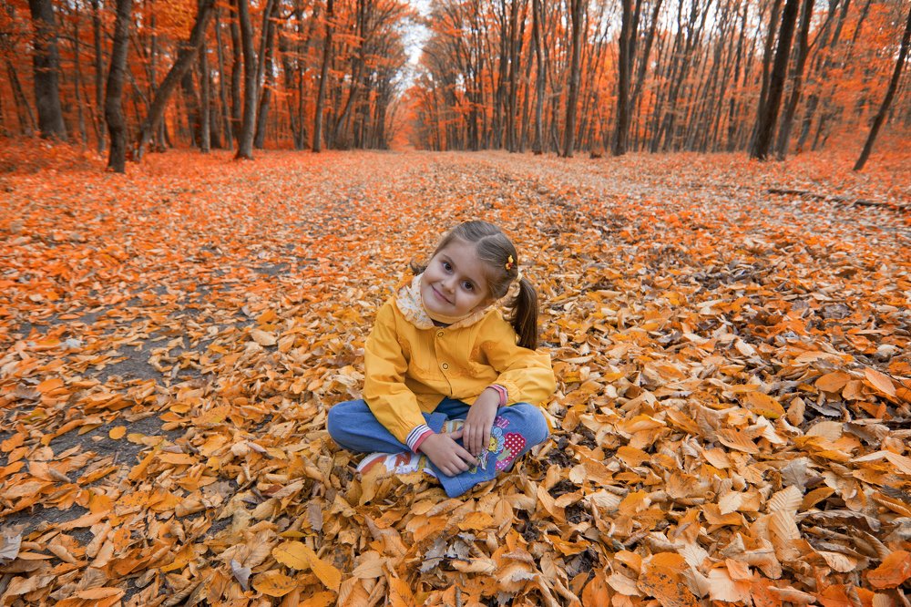 Photograph by Mihai Romeo Bogdan