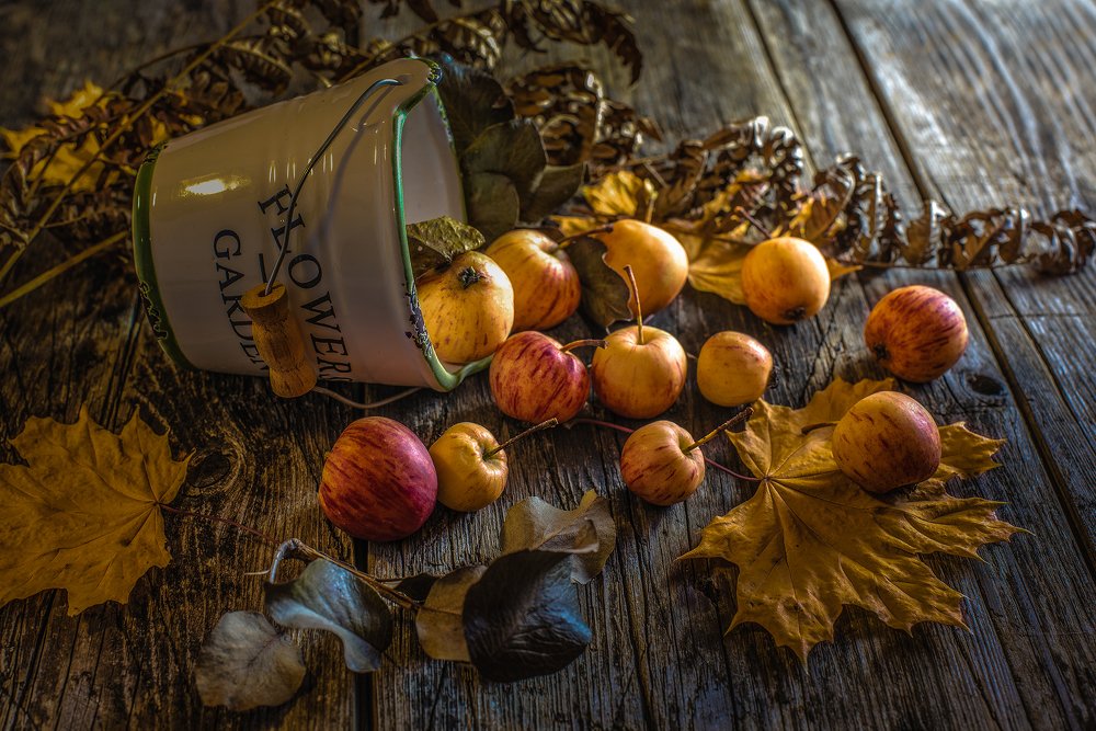 Photograph by Олег Малаев