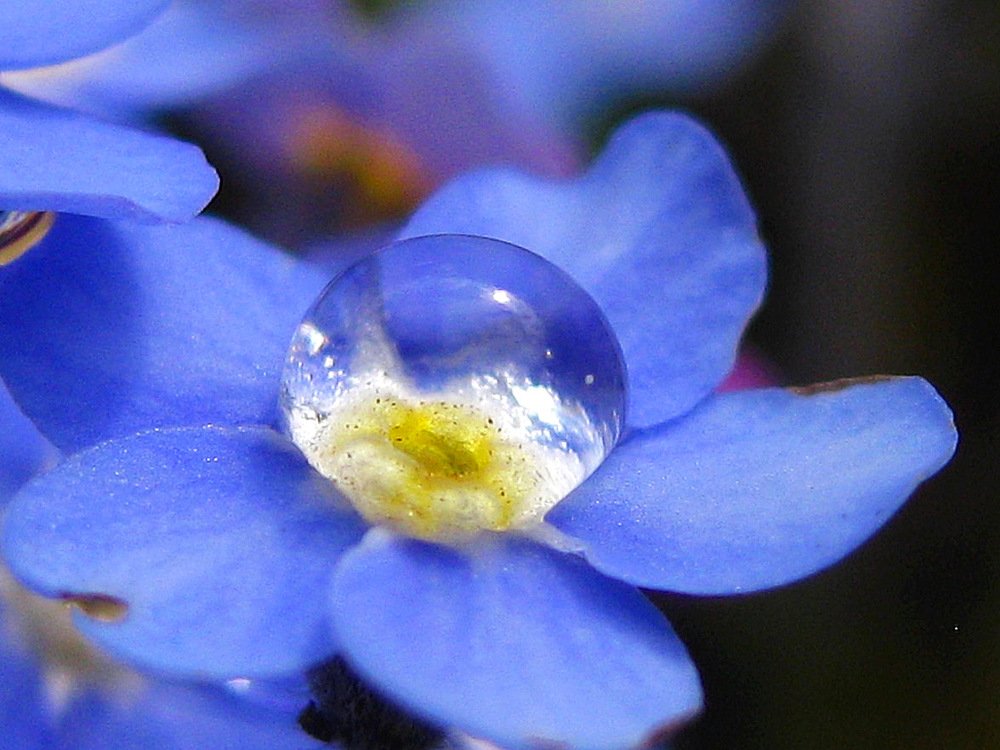 Photograph by Елена Смирнова