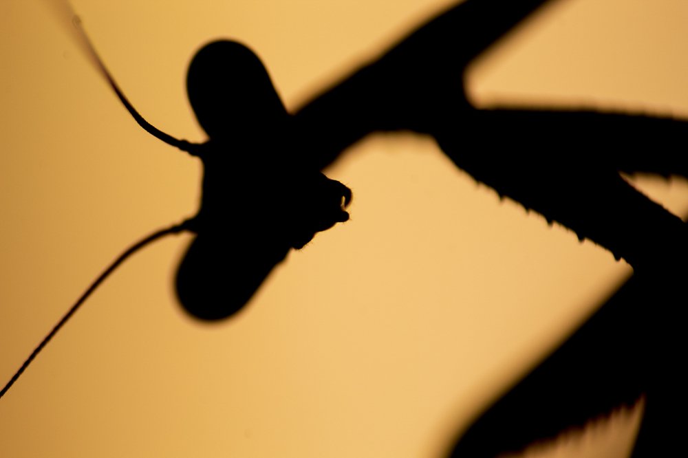 Photograph by walter fernan echeverry lasso