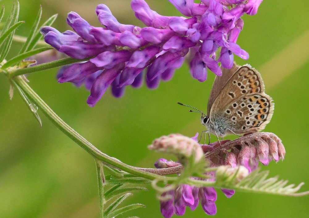 Photograph by Наталья Викарчук