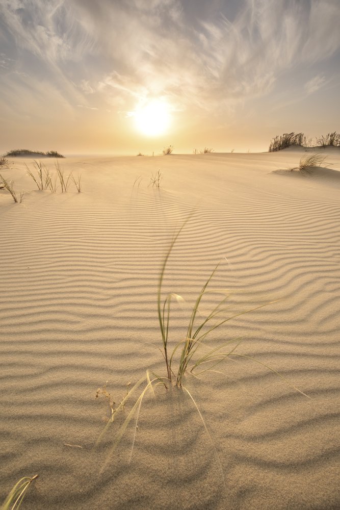 Photograph by Кассандра Мареева