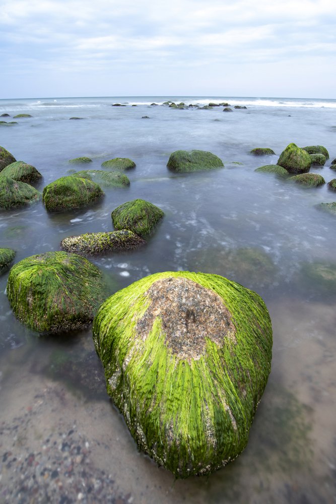 Photograph by Кассандра Мареева