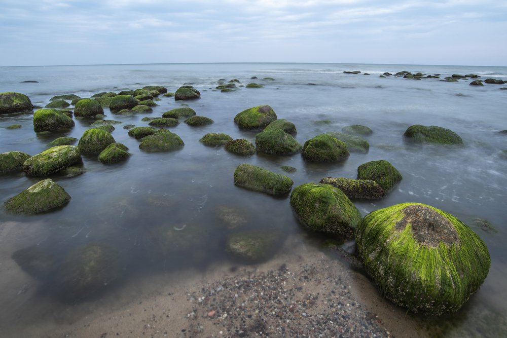 Photograph by Кассандра Мареева
