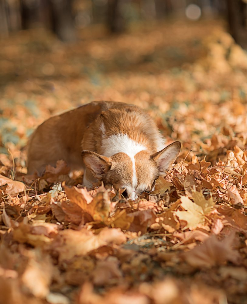 Photograph by Мария Руцкая