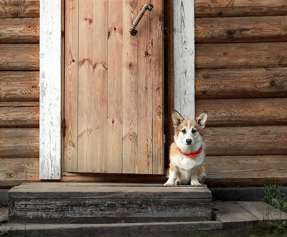 Photograph by Мария Руцкая