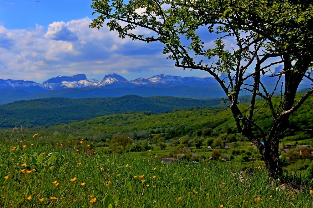 Photograph by Сергей Смоленцев