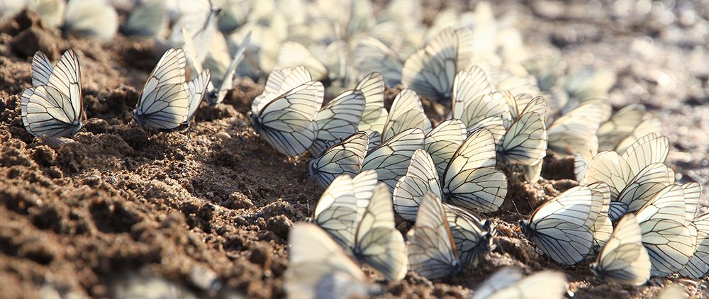 Photograph by Иван Пархоменко