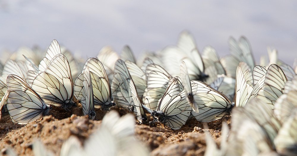 Photograph by Иван Пархоменко