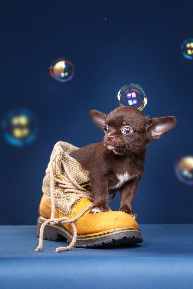 Photograph by наталья жданюк