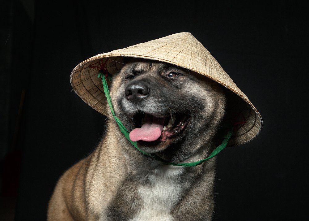 Photograph by наталья жданюк