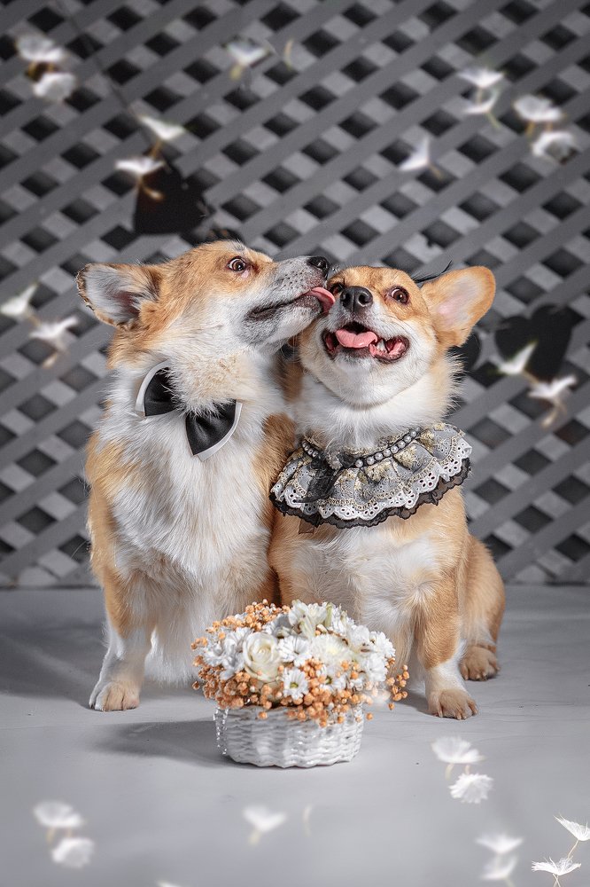 Photograph by наталья жданюк