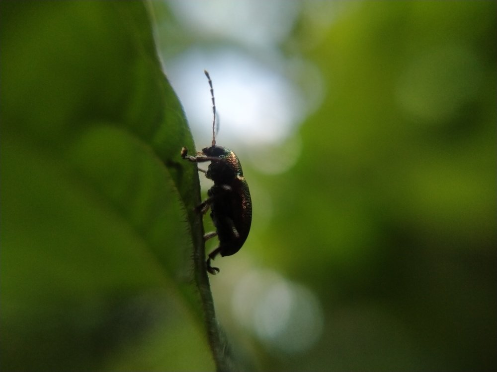 Photograph by Abhinav.kr