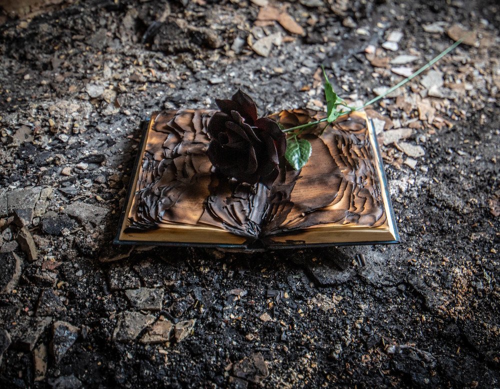 Photograph by Ольга Сафронова