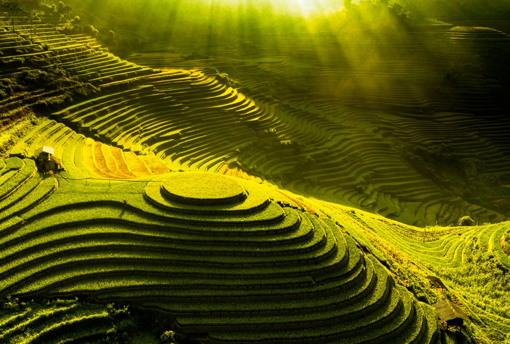 Фотография автора quach nam