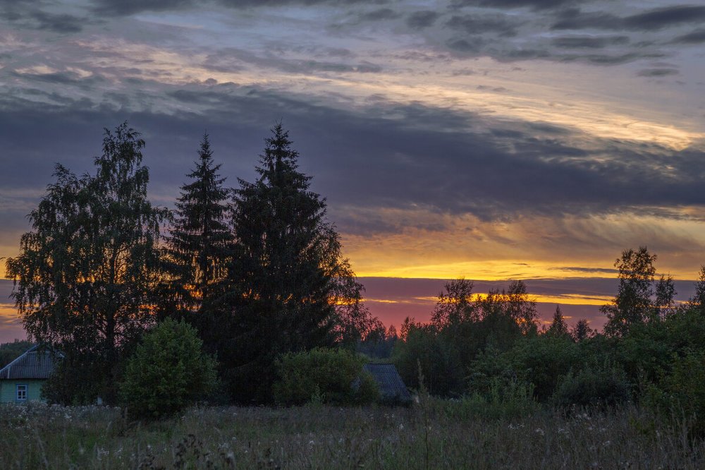 Photograph by Елена Гусева