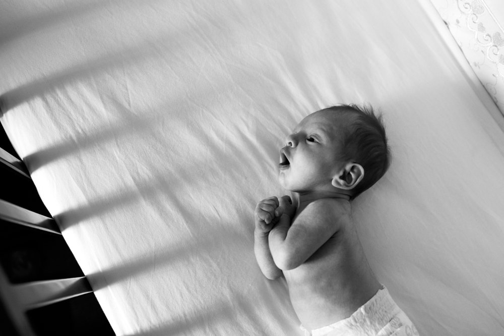 Photograph by Елена Коровкина