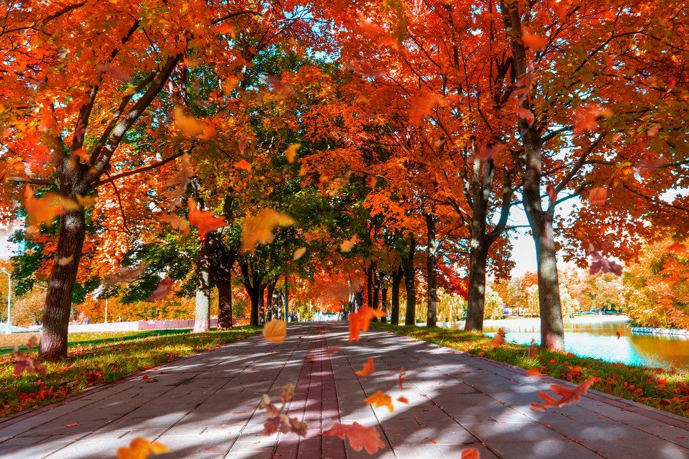 Photograph by Лариса Рулёва