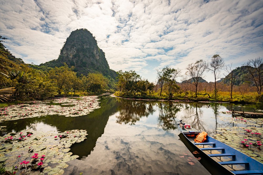 Фотография автора quach nam